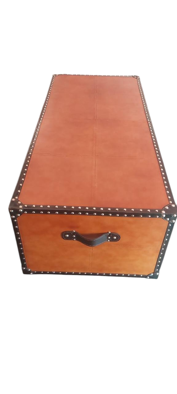 Trunk